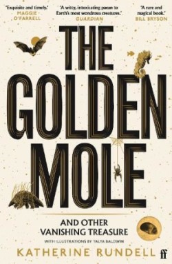 Golden Mole