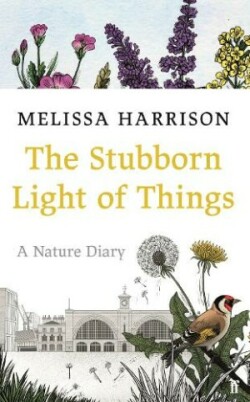 Stubborn Light of Things