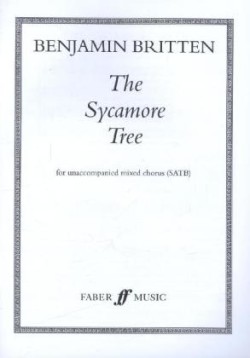 Sycamore Tree