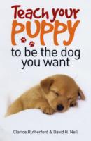 Teach Your Puppy to be the Dog You Want