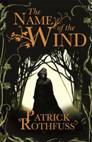 The Name of the Wind (the Kingkiller Chronicle)
