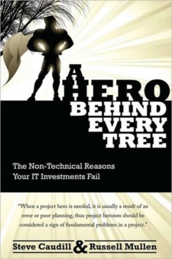 Hero Behind Every Tree - The Non-Technical Reasons Your IT Investments Fail.