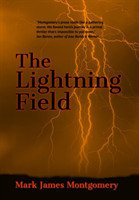 Lightning Field