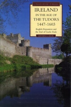 Ireland in the Age of the Tudors, 1447-1603