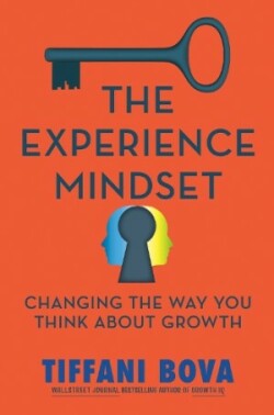 Experience Mindset