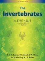 Invertebrates