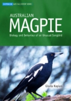 Australian Magpie