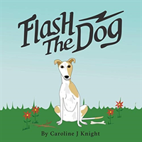 Flash the Dog