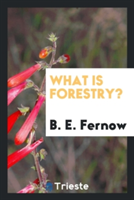 What Is Forestry?