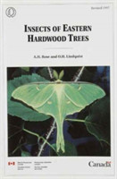 Insects of Eastern Hardwood Trees