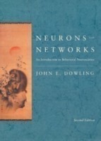 Neurons and Networks