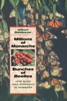 Millions of Monarchs, Bunches of Beetles