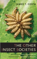 Other Insect Societies