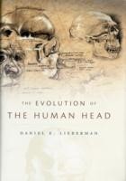 Evolution of the Human Head
