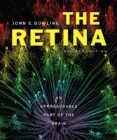 Retina