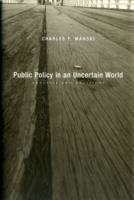 Public Policy in an Uncertain World