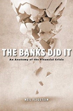 The Banks Did It - An Anatomy of the Financial Crisis