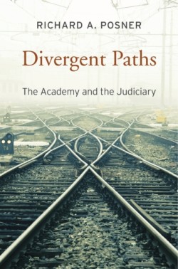 Divergent Paths : The Academy and the Judiciary