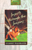Insects through the Seasons