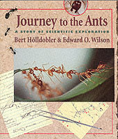 Journey to the Ants