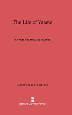 Life of Yeasts