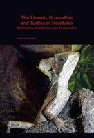 Lizards, Crocodiles, and Turtles of Honduras