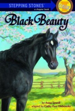 Step Up Classics Black Beauty