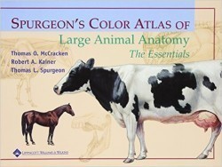 Spurgeon's Color Atlas of Large Animal Anatomy : The Essentials