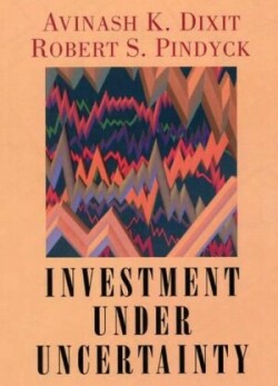 Investment under Uncertainty