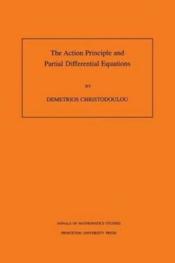 Action Principle and Partial Differential Equations