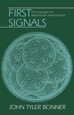 First Signals