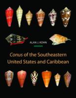 Conus of the Southeastern United States and Caribbean