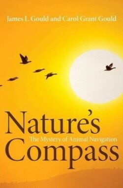 Nature's Compass