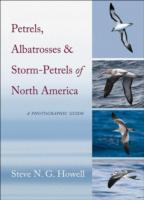 Petrels, Albatrosses, and Storm-Petrels of North America