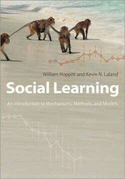 Social Learning An Introduction to Mechanisms, Methods, and Models