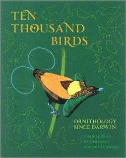 The Thousand Birds