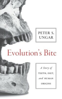 Evolution's Bite A Story of Teeth, Diet, and Human Origins