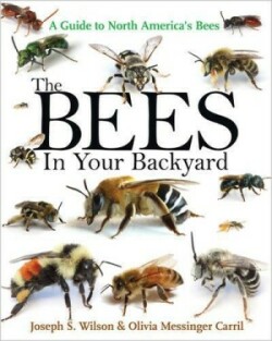 Bees in Your Backyard