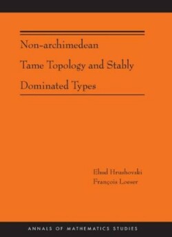 Non-Archimedean Tame Topology and Stably Dominated Types