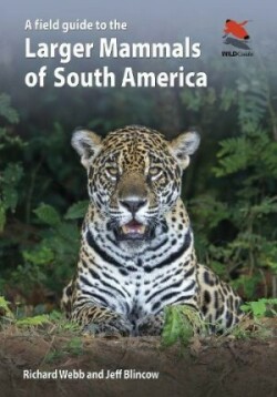 Field Guide to the Larger Mammals of South America