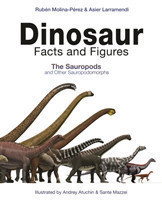 Dinosaur Facts and Figures