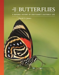 Lives of Butterflies