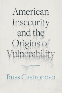 American Insecurity and the Origins of Vulnerability