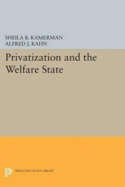 Privatization and the Welfare State