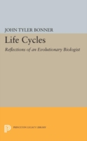 Life Cycles