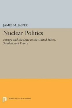 Nuclear Politics