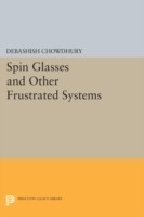 Spin Glasses and Other Frustrated Systems