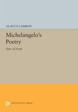 Michelangelo's Poetry