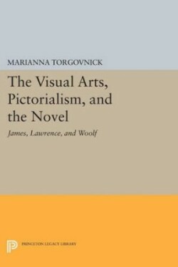 Visual Arts, Pictorialism, and the Novel