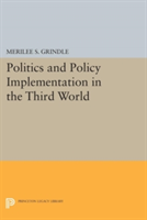 Politics and Policy Implementation in the Third World